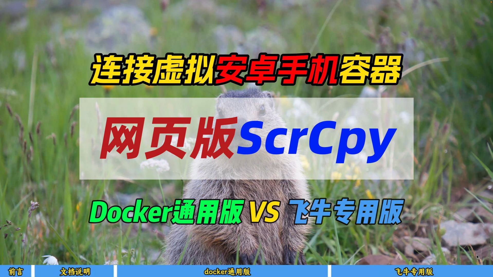 连接虚拟安卓手机容器网页版ScrCpy~Docker通用版 VS 飞牛专用版