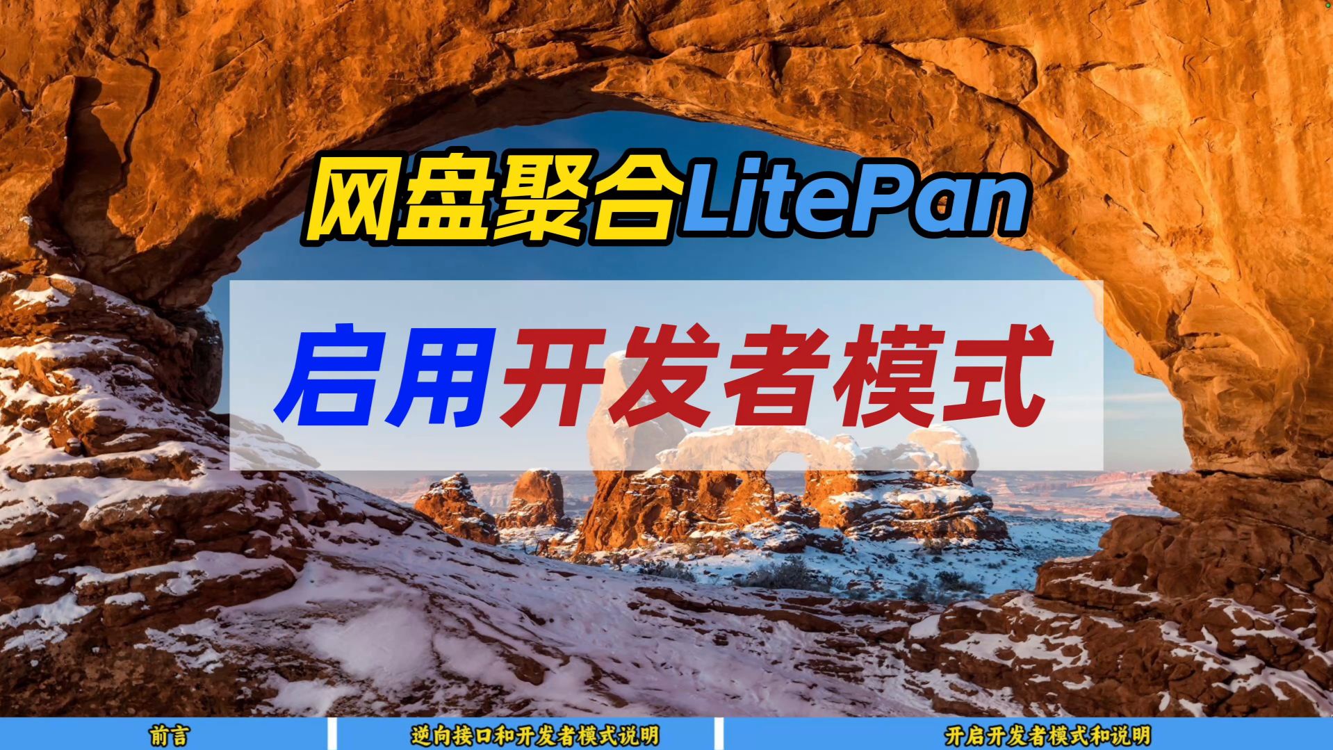 网盘聚合LitePan启用开发者模式~
