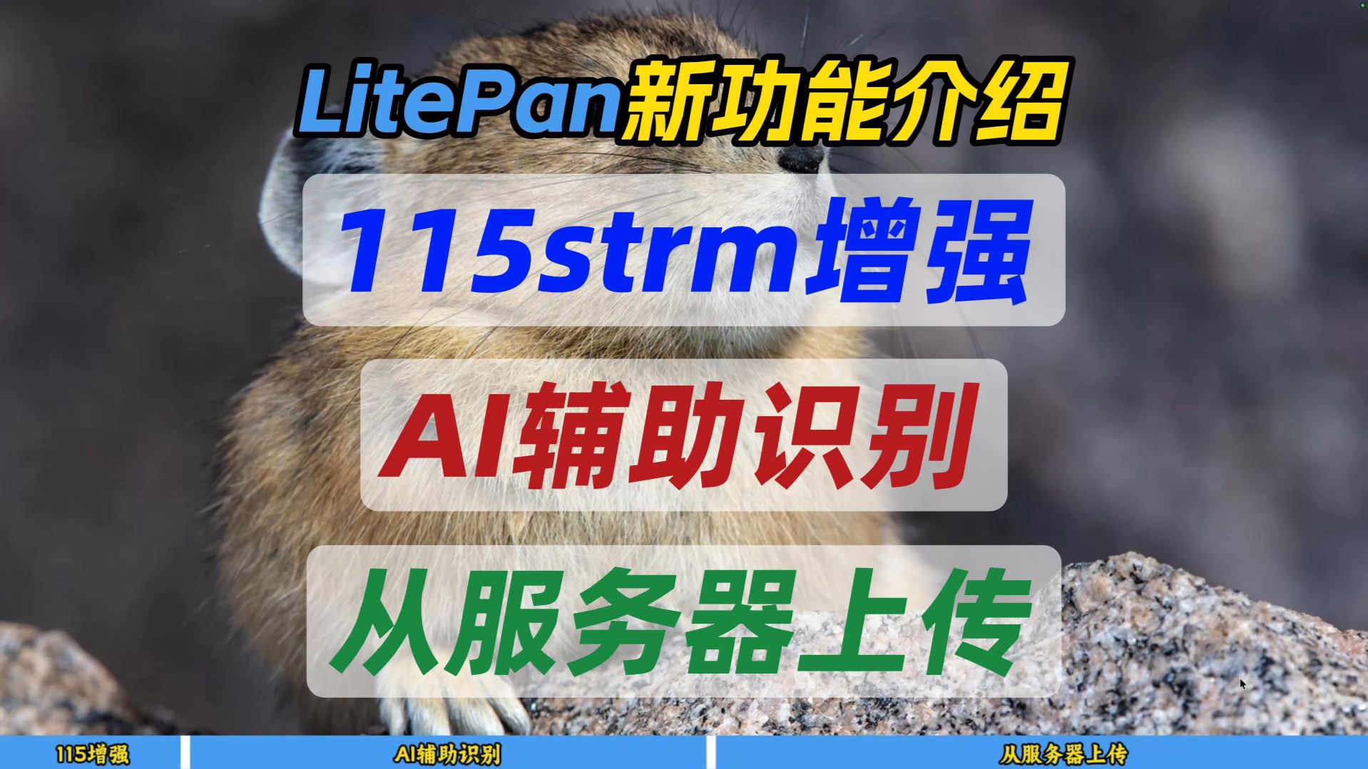 LitePan新功能介绍～115strm增强+AI辅助识别+从服务器上传